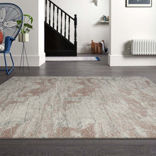 Load image into Gallery viewer, Artistic Transitional Light Grey Rug