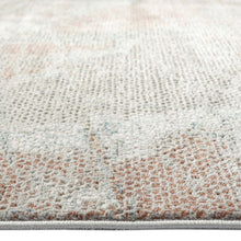 Load image into Gallery viewer, Artistic Transitional Light Grey Rug