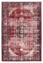 Load image into Gallery viewer, Persian Contemporary Transitional Red Rug