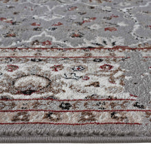 Load image into Gallery viewer, Contemporary Wonders Boarder Grey Rug