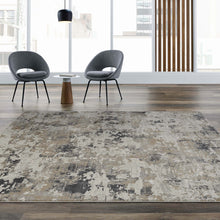Load image into Gallery viewer, Elegant Faded Luxe Grey Rug