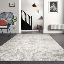 Load image into Gallery viewer, Transitional Classic Design Stone Rug