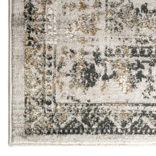Load image into Gallery viewer, Transitional Persian Design Stone Rug