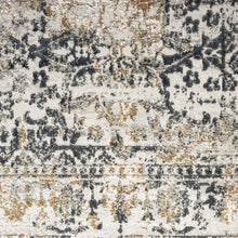 Load image into Gallery viewer, Transitional Persian Design Stone Rug