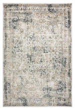 Load image into Gallery viewer, Transitional Persian Design Stone Rug