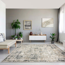 Load image into Gallery viewer, Transitional Persian Design Stone Rug