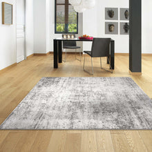 Load image into Gallery viewer, Transitional Modern Design Stone Rug