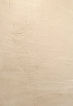 Load image into Gallery viewer, Plushy Plain pattern Shag Beige Rug