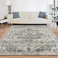 Load image into Gallery viewer, Victorian Style Faded Pattern Rug

