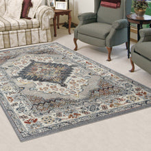Load image into Gallery viewer, Classic Middle Eastern Grey Rug
