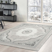 Load image into Gallery viewer, Classic Victorian Pattern Grey Rug
