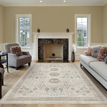 Load image into Gallery viewer, Oriental Villa Style Grey Rug
