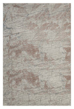Load image into Gallery viewer, Artistic Transitional Light Grey Rug
