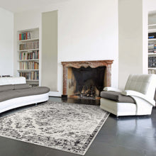 Load image into Gallery viewer, Victorian Secret Light Grey Rug
