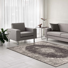 Load image into Gallery viewer, Persian Contemporary Transitional Grey Rug
