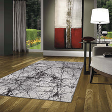 Load image into Gallery viewer, Villa Style Light Grey Rug
