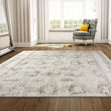 Load image into Gallery viewer, Transitional Classic Design Sand Rug
