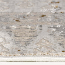 Load image into Gallery viewer, Transitional Classic Design Sand Rug
